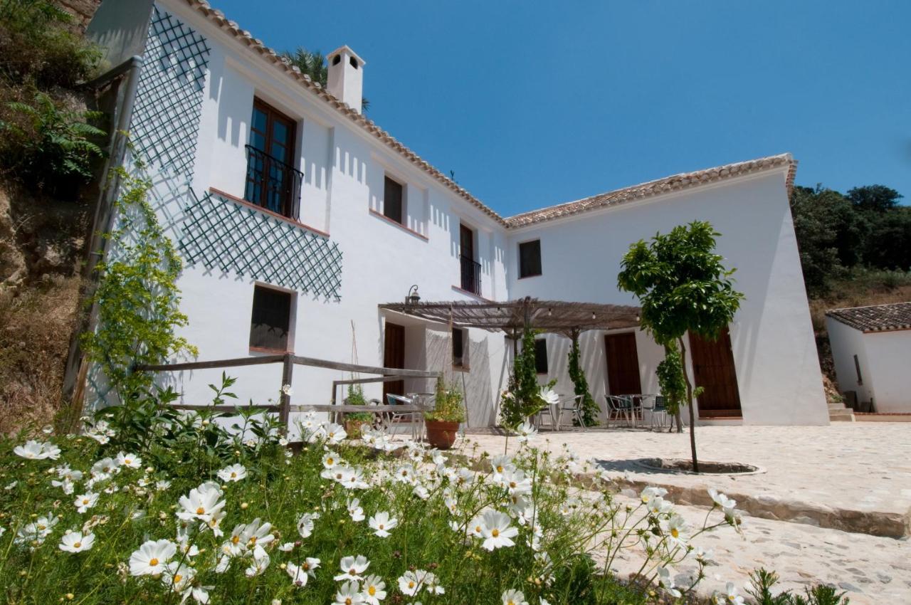 El Granero At Molino La Ratonera Apartamento Zagra Exterior foto